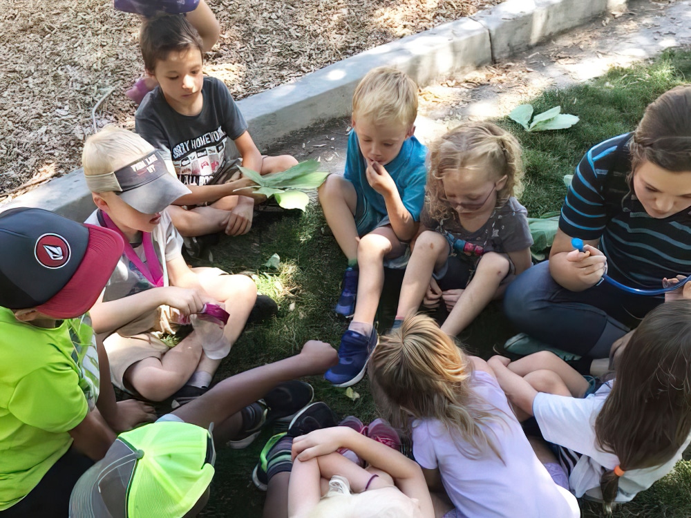Summer Camp Creates & Strengthens Friendships